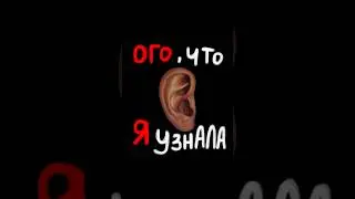 И почему я не узнала это раньше??🥲