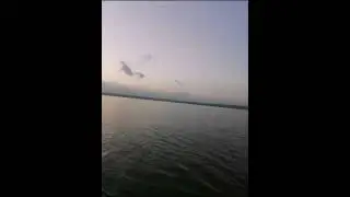 Вечерка.