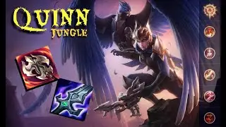 QUINN JUNGLE, É CRIME OU CREME? Me diz ai oque acha!