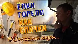 СГОРЕЛ САРАЙ, ГОРИ И ХАТА! Приехала 