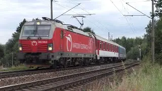 Vlaky na trati 250: Pohledští Dvořáci - 17.8.2021 / Trains in Czech Republic