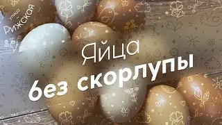 Яйца без скорлупы? 🥚 В чём причина?