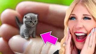 Try Not To Say Aww! *IMPOSSIBLE*
