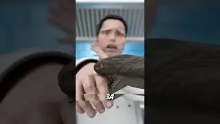 Змея без тела впрыснула яд! 😱 ( @zackdfilms⁩)