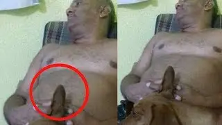 20 ILLUSIONS D'OPTIQUE INCROYABLES