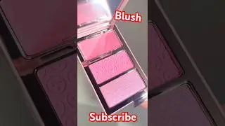 Blush lip tint and lip gloss for indian skin tone #blush #blushblushlove #blushchallenge #makeup