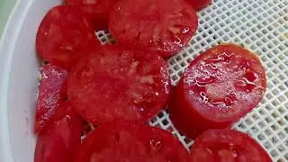 Томатные чипсы и вяленные томаты из  КорнабелЯ!!