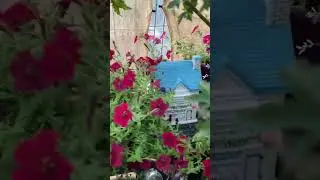 Are there cookies in the greenhouse?
