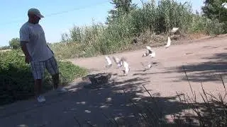 3 июля  Спорт  Старт