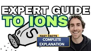 What are Ions?