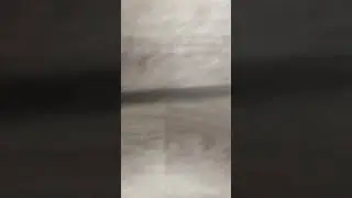 удалю через час если не зависит