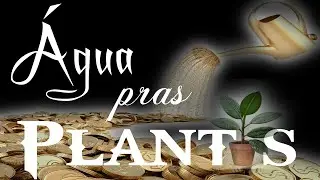 D'Lucas$ - Água pras plantas 🌿 (Official Lyric Video)