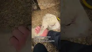 Знамения!