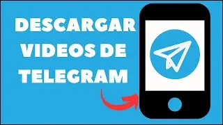 Cómo DESCARGAR Videos de la Aplicación de TELEGRAM 📲🎥