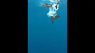 [FREE] Iann Dior x Nick Mira Type Beat I Rap Instrumental