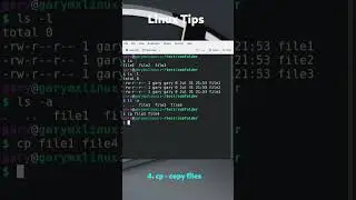 10 Linux commands You Should Know 