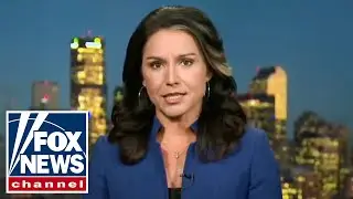 Tulsi Gabbard: They lie until voters actually believe them