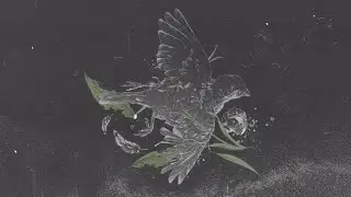 MUDFIELD - Beteg Madár (Official Lyric Video)