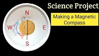 How to Make a Magnetic Compass at Home | science projects | science experiments