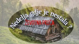 Lepa je nekad bila nedelja.Ujutru se duže spavalo,kasnije se doručkovalo i svako je smeo da...
