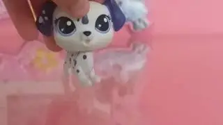 Perguntas +locuras no fim