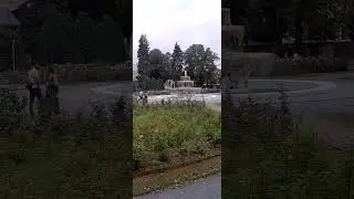 Роза парк