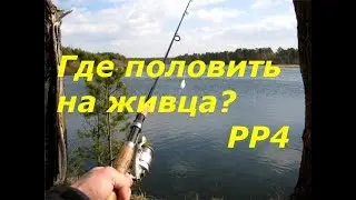 Ловля щуки на живца в игре Русская рыбалка 4