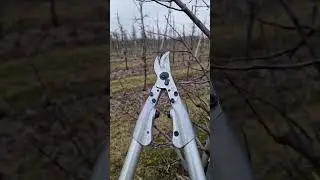 dlaczego dopiero teraz odkryłem ten model sekatora Felco???