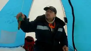 Fishing on Petrovskaya. The snowmobile did not let us down.