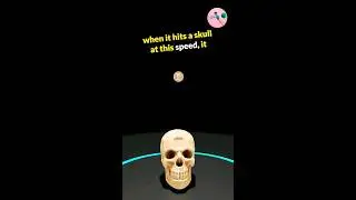 Can a Falling Coin Kill You 💀 ? #physics #science #gravity