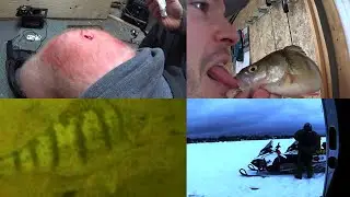 Arrested For Kissing A Fish - IceFishVlog February 20th 2016