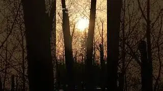 #nature #костанай #паводки #потоп #казахстан #костанайскаяобласть