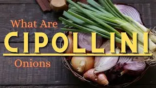 CIPOLLINI Onions and How To BLANCH Them