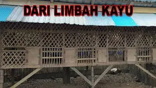 Kandang Ayam Bangkok Dari Limbah Kayu