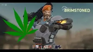 Brim Stoned