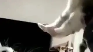 Любовь матери 😺😻
