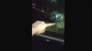 ROBO-Dog tries to bite my hand through a window