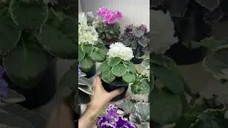 Обзорчики 5.09 ч.2