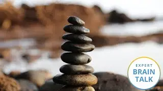 Meditation Helps 50-Year-Olds Have the Brains of 25-Year-Olds | Brain Talks | Being Patient