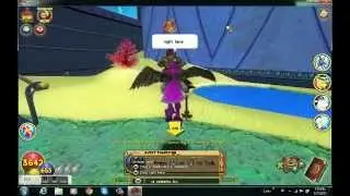 wizard101-how to get expensive reagents for cheap and get conga drums!!!