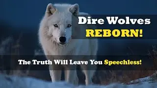 Dire Wolves Return! Colossal Biosciences’ De-Extinction Breakthrough 2025