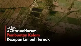 Kolam Resapan Limbah Ternak Sapi #CitarumHarum