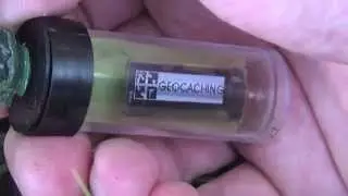 Oled fake plant