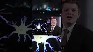 Спите в такой позе, и ваш мозг избавится от вредных веществ