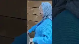 Кошка прячет котяток
