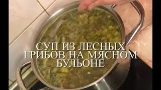 Суп из лесных грибов на мясном бульоне
