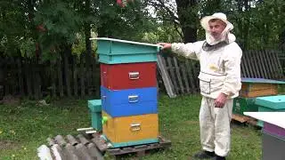 Пчеловод Булатов 2021