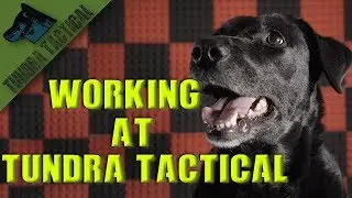 Tundra Tactical Begs For Money