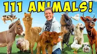 Meet My 111 Adorable Animals!