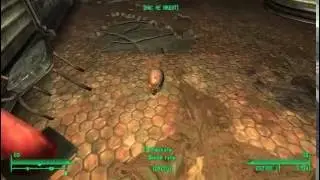Fallout3 позитивная голова гуля))